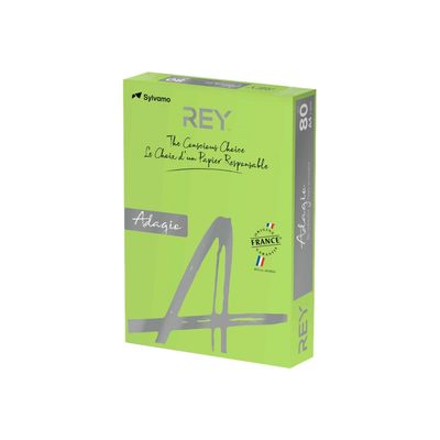 3141728711155-Rey Adagio - Papier couleur - A4 (210 x 297 mm) - 160 g/m² - Ramette de 250 feuilles - anis-Angle droit-0