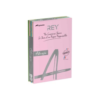3141720137588-Rey Adagio - Papier couleur - A4 (210 x 297 mm) - 160 g/m² - Ramette de 250 feuilles - coul-Angle droit-0