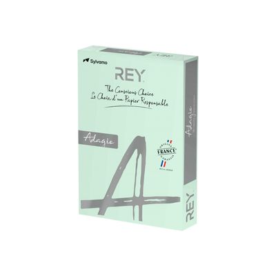 3141720157951-Rey Adagio - Papier couleur - A3 (297 x 420 mm) - 160 g/m² - Ramette de 250 feuilles - vert-Angle droit-0