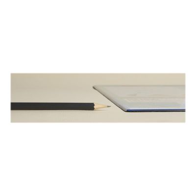 3130630297918-Exacompta - Sous-main PVC - France-Gros plan-3