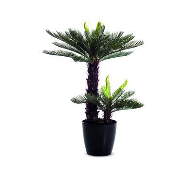 3660141290042-Plante artificielle cycas - hauteur 80 cm--0