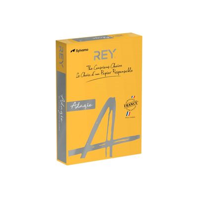 3368220089654-Rey Adagio - Papier couleur - A4 (210 x 297 mm) - 160 g/m² - Ramette de 250 feuilles - abr-Angle gauche-0