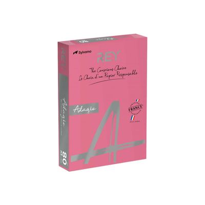 3368220133982-Rey Adagio - Papier couleur - A4 (210 x 297 mm) - 80 g/m² - Ramette de 500 feuilles - gren-Angle gauche-0