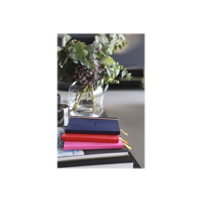 3037921173794-RHODIA-Gauche-2