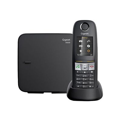 4250366833149-Gigaset E630 - téléphone sans fil - argent-Avant-1