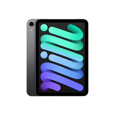 0194252528792-Apple iPad mini (6ème gen) - tablette 8,3" - 256 Go - gris sidéral-Multi-angle-1