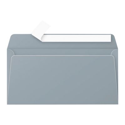3329680500752-Pollen - 20 Enveloppes - 110 x 220 mm - 120 g/m² - argent-Avant-0