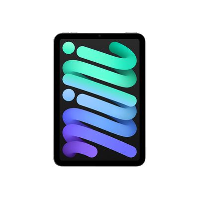 0194252528792-Apple iPad mini (6ème gen) - tablette 8,3" - 256 Go - gris sidéral-Avant-0