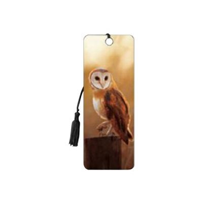 0634438935278-Catwalk Artgame 3D - Marque pages chouette-Avant-0