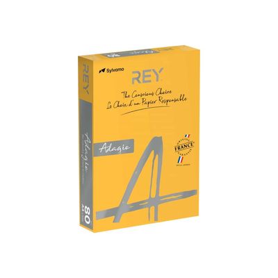 8421938302141-Rey Adagio - Papier couleur - A4 (210 x 297 mm) - 80 g/m² - Ramette de 500 feuilles - abri-Angle gauche-0