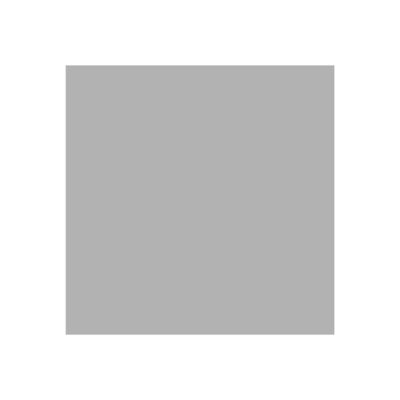 3148950021137-Canson Graduate Mix Media - Bloc dessin - 30 feuilles - A3 - 220 gr - gris-Gros plan-1