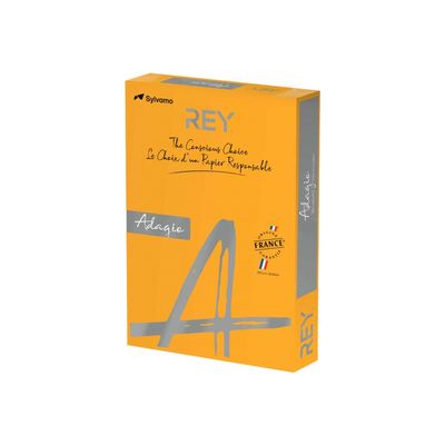 3141728711124-Rey Adagio - Papier couleur - A3 (297 x 420 mm) - 160 g/m² - Ramette de 250 feuilles - poti-Angle droit-0