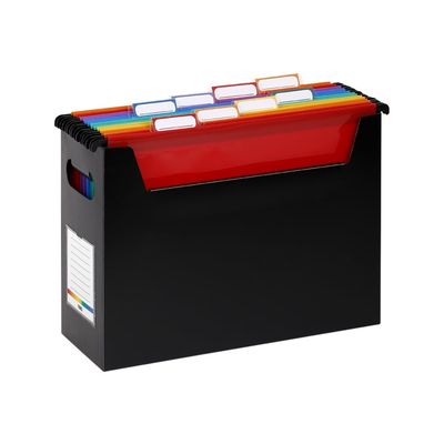 3135254180677-Viquel Rainbow - Boîte d'archivage Easycase avec poignées de transport + 8 dossiers suspendus a-Gauche-0