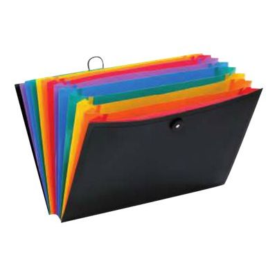 3135251116679-Viquel Rainbow Class - Trieur extensible 12 positions-Angle gauche-0