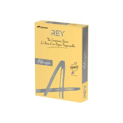 3368220140409-Rey Adagio - Papier couleur - A4 (210 x 297 mm) - 160 g/m² - Ramette de 250 feuilles - bout-Angle droit-0