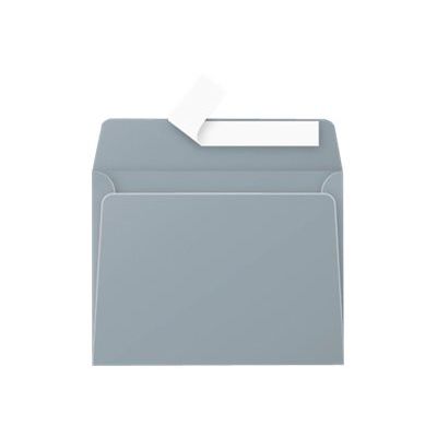 3329680500714-Pollen - 20 Enveloppes - 90 x 140 mm - 120 g/m² - argent-Avant-1