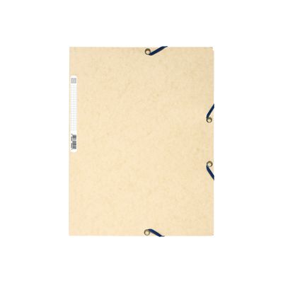 3130630555322-Exacompta Nature Future - Chemise à 3 rabats - A4 - pour 250 feuilles - ivoire-Avant-0