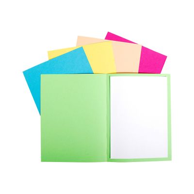 2012346205207-Exacompta Forever Foldyne - 100 Chemises - 170 gr - couleurs assorties-Avant-0
