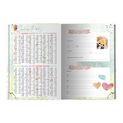 3592930017434-Bouchut - Agenda Dino vert - 1 jour par page - 12,5 x 17,5 cm-Avant-1