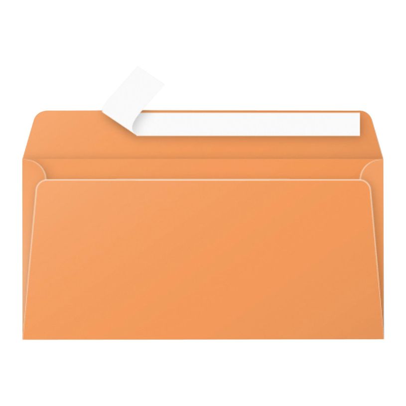 3329680549508-Pollen - 20 Enveloppes - 110 x 220 mm - 120 g/m² - clémentine-P_5495_1-0