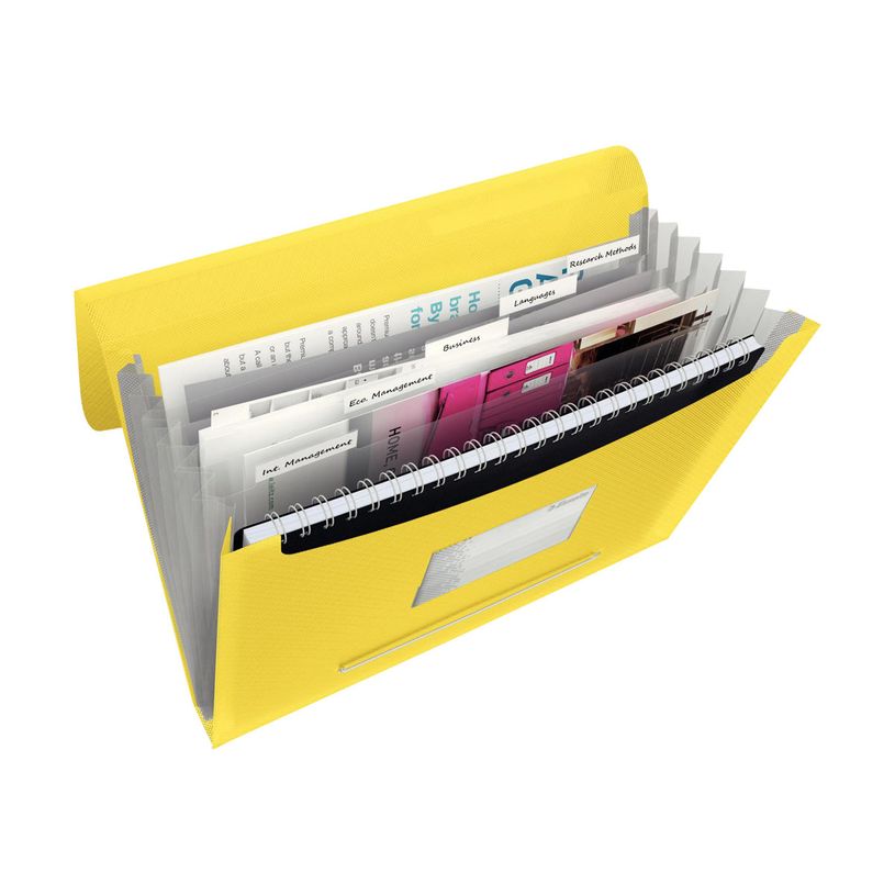 4049793028422-Esselte Vivida - valisette - pour A4 - capacité : 300 feuilles - à onglets - jaune vif-P_300019816_1-3