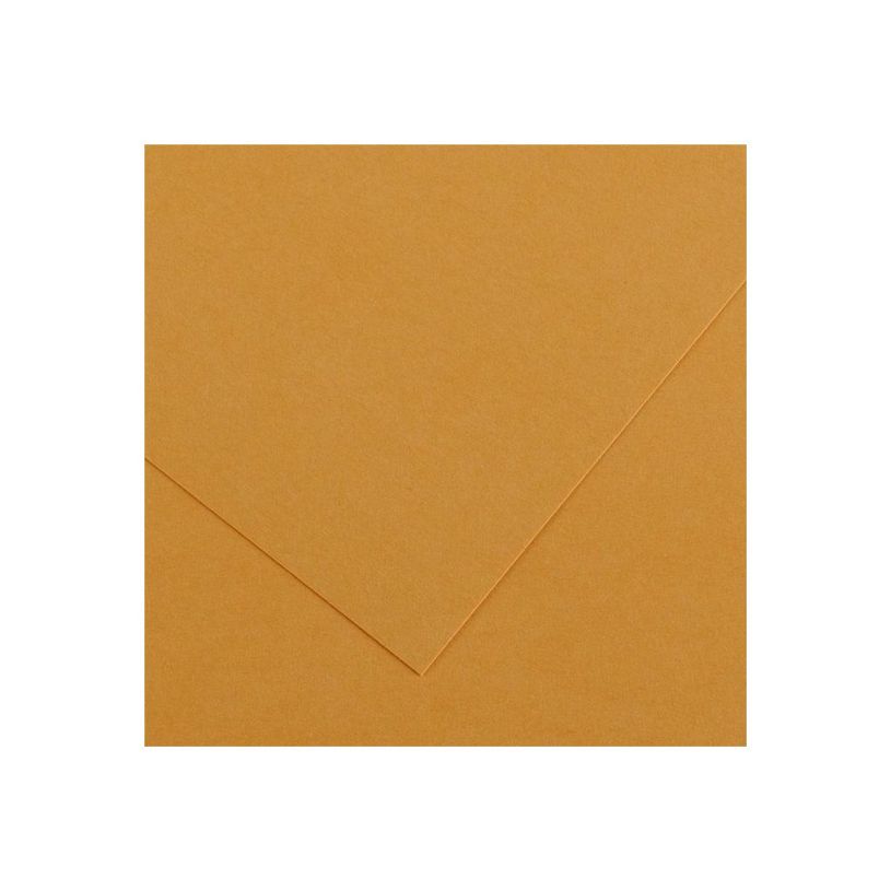 3148950402417-Canson Iris Vivaldi - Papier - 500 x 650 mm - cuir - 185 g/m²-P_300043363_1-0