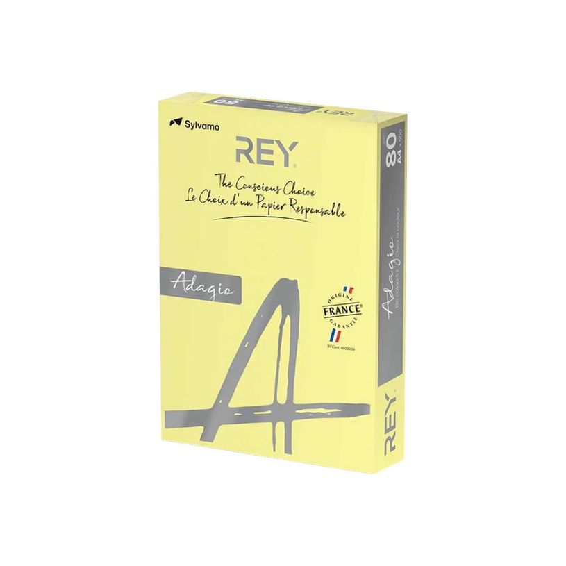 8421938302011-Rey Adagio - Papier couleur - A4 (210 x 297 mm) - 80 g/m² - Ramette de 500 feuilles - jau-P_300044636_1-0