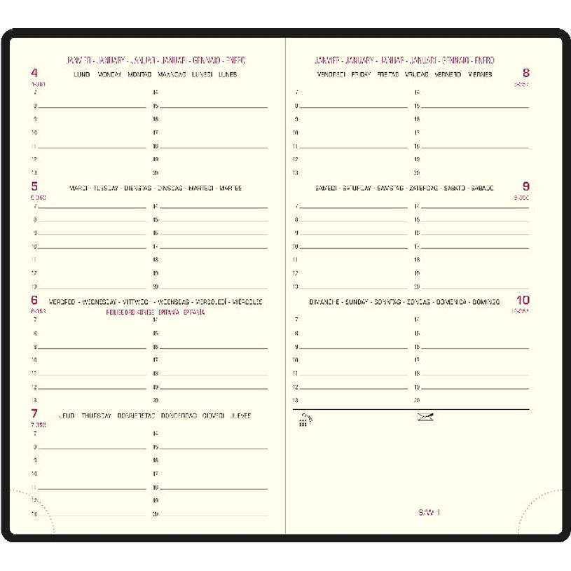 3660942069281-Agenda de poche Ginkgo Eurotime 16 - 1 semaine sur 2 pages - 8,5 x 16 cm - disponible dans dif-P_400000732_6-3