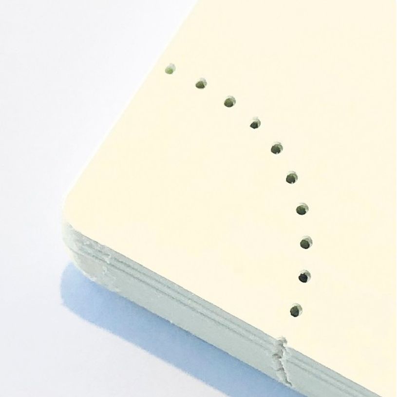 3660942069281-Agenda de poche Ginkgo Eurotime 16 - 1 semaine sur 2 pages - 8,5 x 16 cm - disponible dans dif-P_400000732_7-4