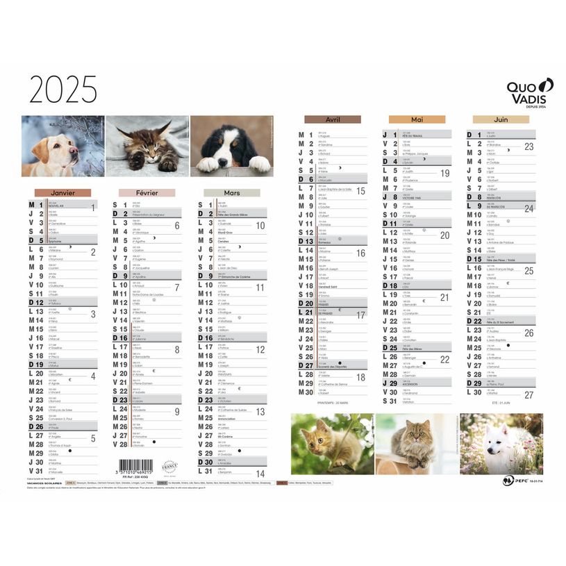3371010469215-Quo Vadis - Calendrier Fantaisie 6 mois par face - 27 x 21 cm - animaux-P_400009729_1-0