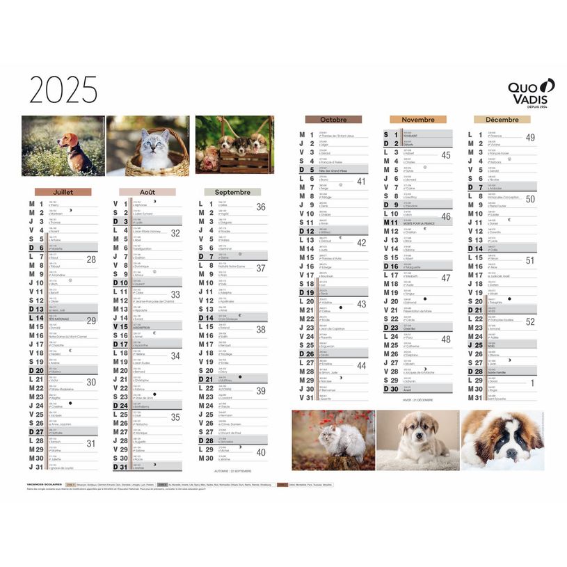 3371010469215-Quo Vadis - Calendrier Fantaisie 6 mois par face - 27 x 21 cm - animaux-P_400009729_2-1