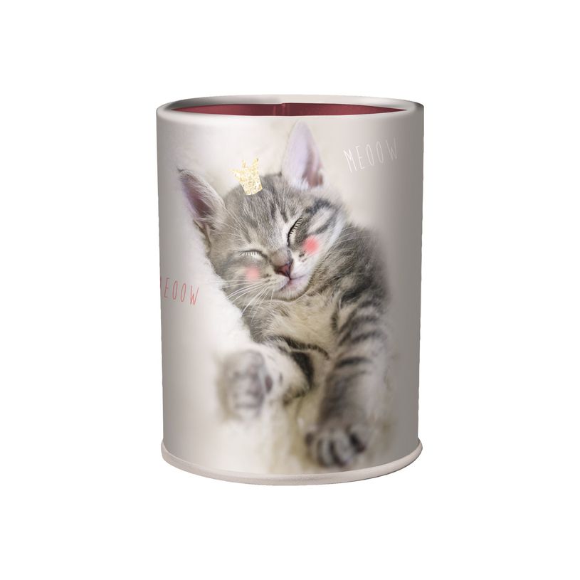 3664447120034-Oberthur Chatons Twins pot à crayons-P_405114677_1-0