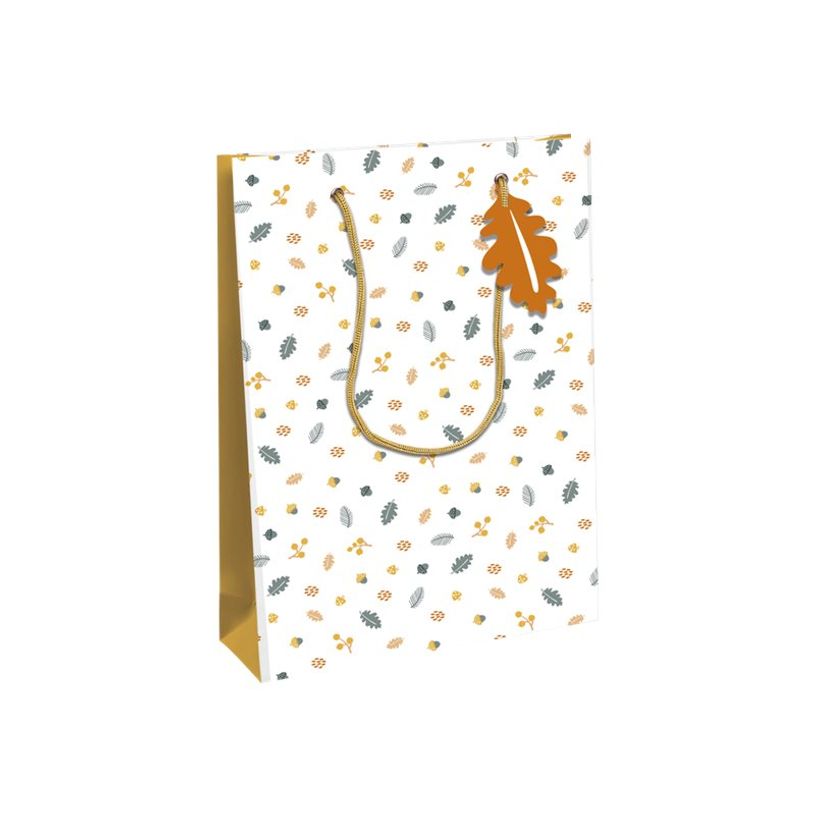 5033601004837-Clairefontaine - Sac cadeau - fox multicolore - 26,5 cm x 14 cm x 33 cm-P_405124570_1-0