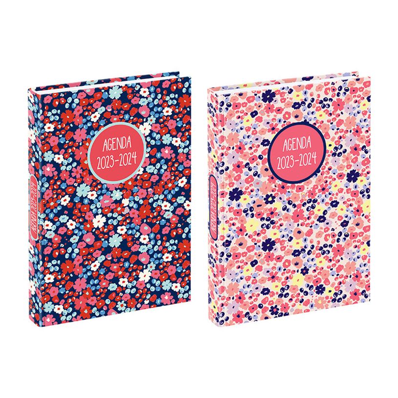 3135257452986-Agenda Liberty - 1 jour par page - 12 x 17 cm - rose ou bleu - Viquel-P_405128685_1-0
