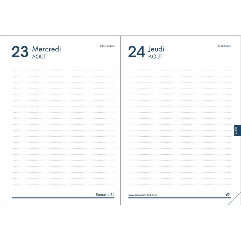3371010497904-Agenda Shaman - 1 jour par page - 12 x 17 cm - quand c'est le weekend Dino - Quo Vadis-P_405130409_2-1