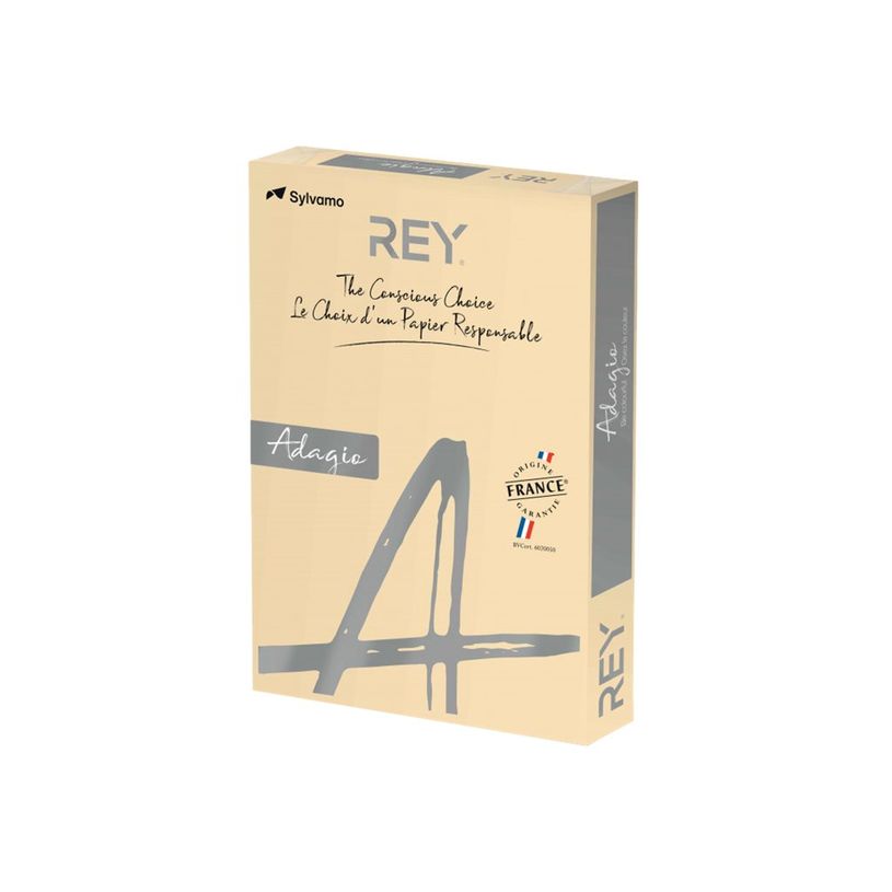 3141728711094-Rey Adagio - Papier couleur - A3 (297 x 420 mm) - 160 g/m² - Ramette de 250 feuilles - sa-P_405137816_1-0