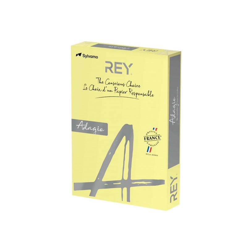 3141720157982-Rey Adagio - Papier couleur - A3 (297 x 420 mm) - 160 g/m² - Ramette de 250 feuilles - ca-P_405137817_1-0