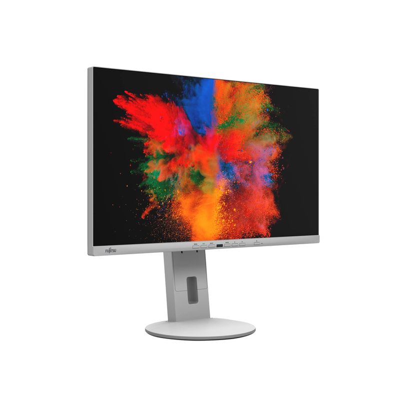 4065221160250-Fujitsu P2410 TE - écran LED 23,8" - Full HD (1080p)-P_405138773_3-2