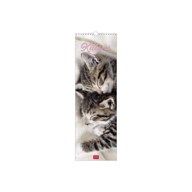 8051128759365-Calendrier mensuel 2024 - 16 x 49 cm - chatons-P_405143089_2-0