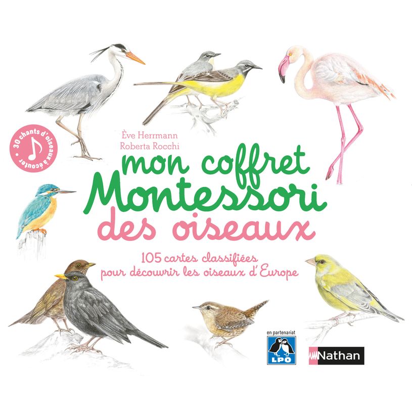 9782092788387-Mon coffret Montessori des oiseaux-P_405143990_1-0