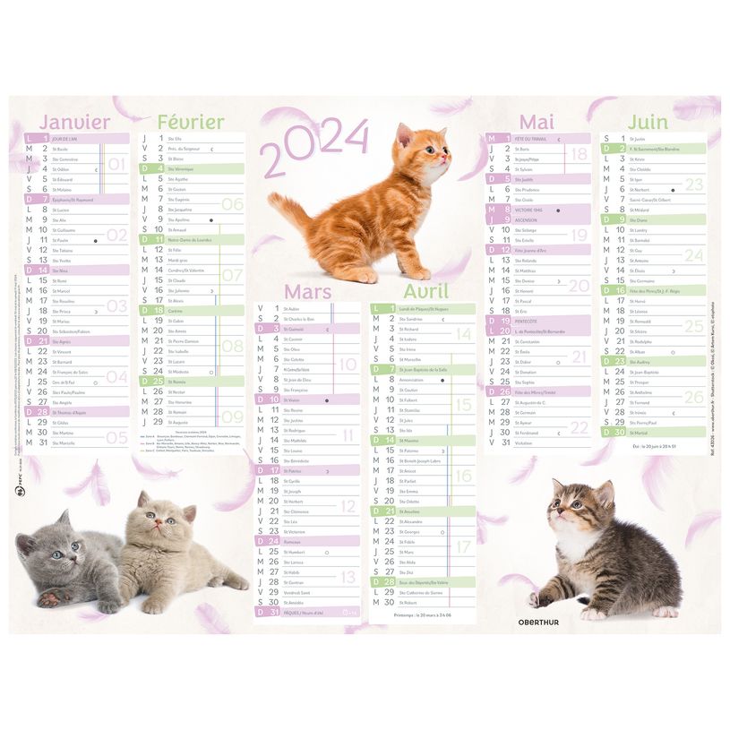 3664447151427-Calendrier Chats 4 saisons - 6 mois par face - 32 x 42 cm - Oberthur-P_405149419_1-0