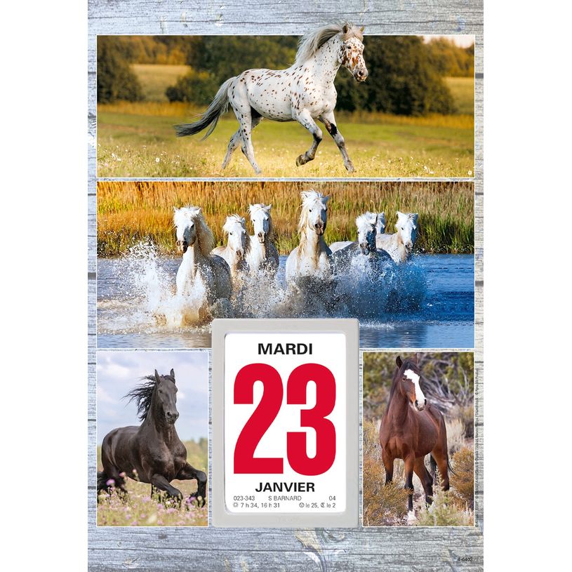 3664447162133-Oberthur - Plaque illustrée avec bloc éphéméride classique - 16 x 33 cm - disponible d-P_405149439_9-8