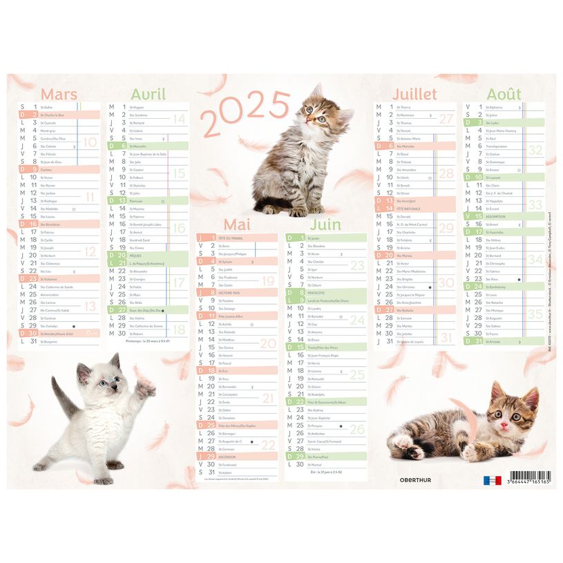 3664447165165-Calendrier Chaton - 6 mois par face - 32 x 42 cm - Oberthur-P_405161978_2-1