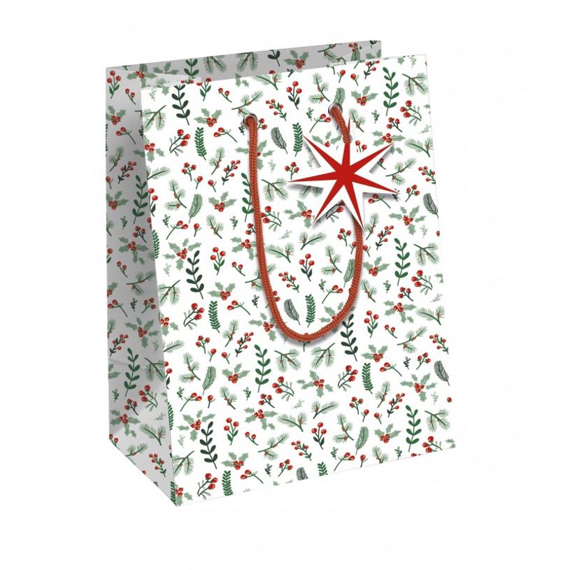 5033601016717-Clairefontaine Rhodia 72'S - Sac cadeau - moyen - 21.5 cm x 10.2 cm x 25.3 cm - cosy - bla-P_405164677_1-0