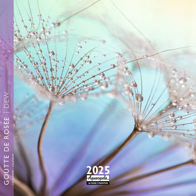 3494150160931-Calendrier mensuel 16x16 cm - 16 mois - Goutte de rosée-P_405186576_1-0