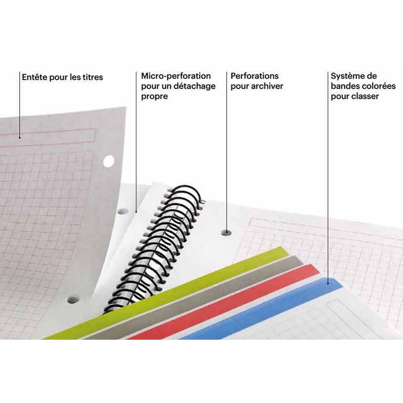 8422593499504-Notebook Miquelrius à couverture souple format A5 avec lignes horizontales, 120 feuilles de 5 couleurs, collection Emotions ,--5