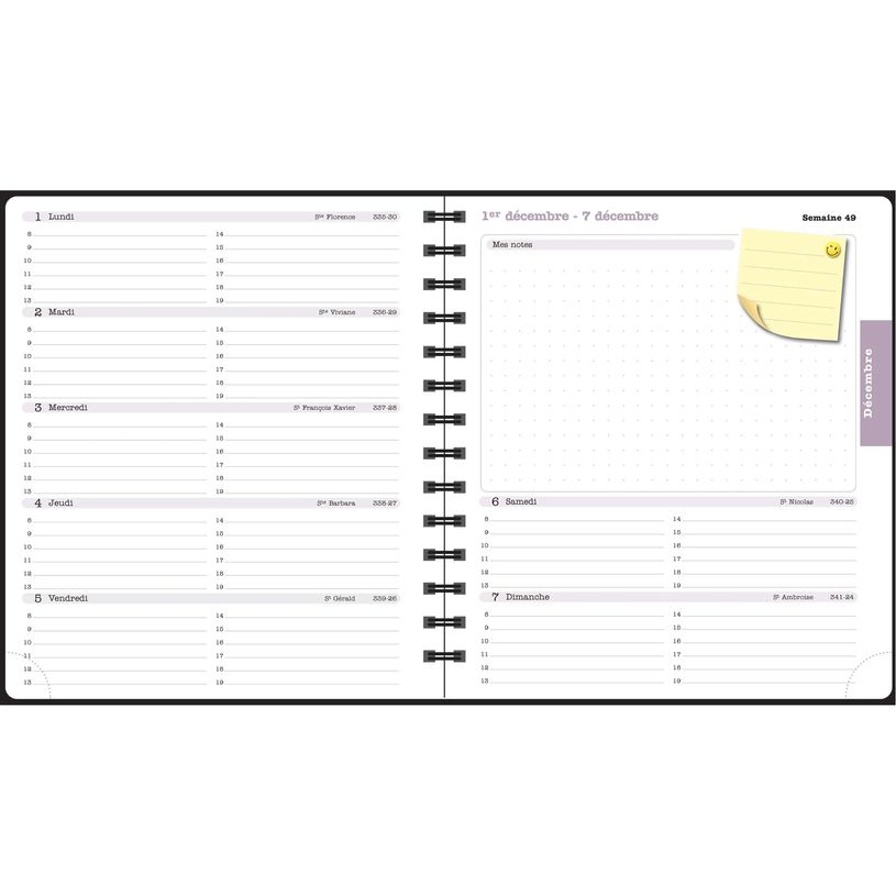 3660942088411-Agenda de bureau Dodo & Cath Lady 18S spiralé - 1 semaine sur 2 pages - 15 x 17 cm - Débordée - Exac--4