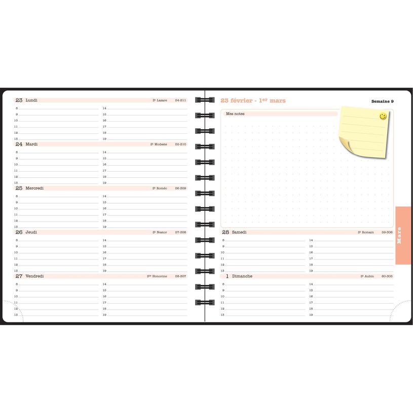 3660942088411-Agenda de bureau Dodo & Cath Lady 18S spiralé - 1 semaine sur 2 pages - 15 x 17 cm - Débordée - Exac--6