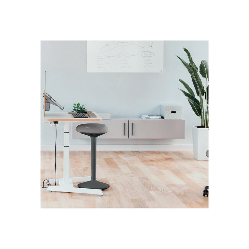 4002432138432-Leitz Ergo Active - Tabouret de bureau sur pied - ergonomique - triangulaire - pivotant - tissu -P_405245715_5-6
