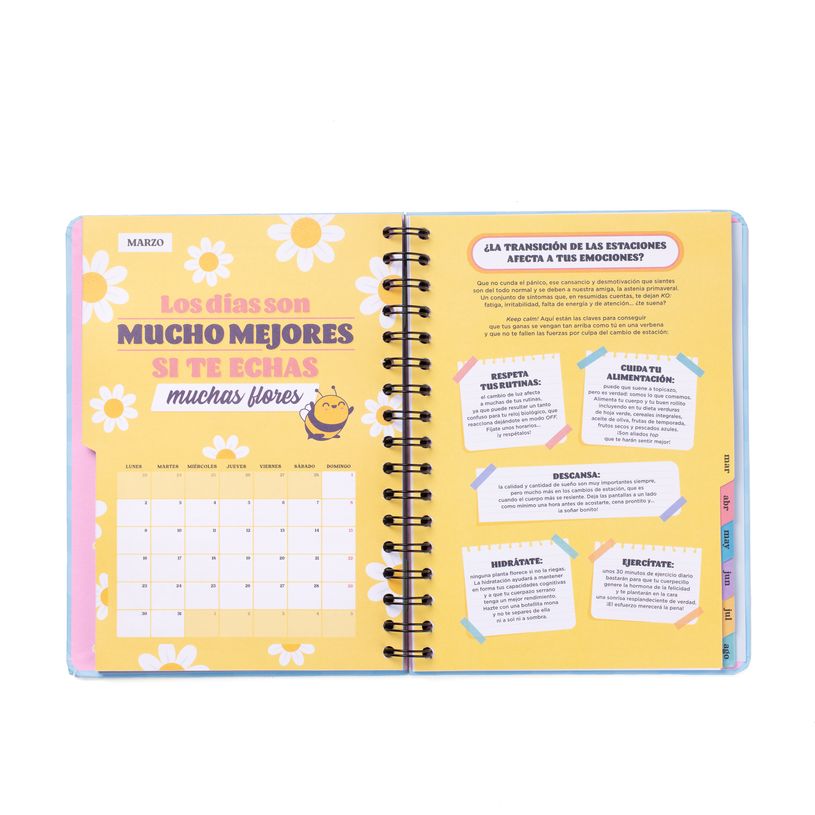 8445641063748-Mr. Wonderful Wonder - Agenda - 2025-2026 - semainier - reliure à anneaux métalliques - 160 -P_405248740_3-1